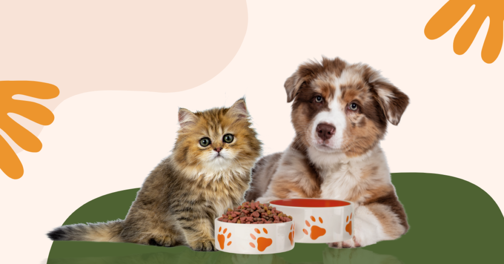 The Ultimate Guide to Choosing the Right Pet Food for Your Furry Friend